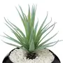 ARRANJO ALOE VERA - PRETO/VERDE - Foto 3