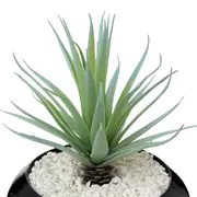 ARRANJO ALOE VERA - PRETO/VERDE - Foto 3