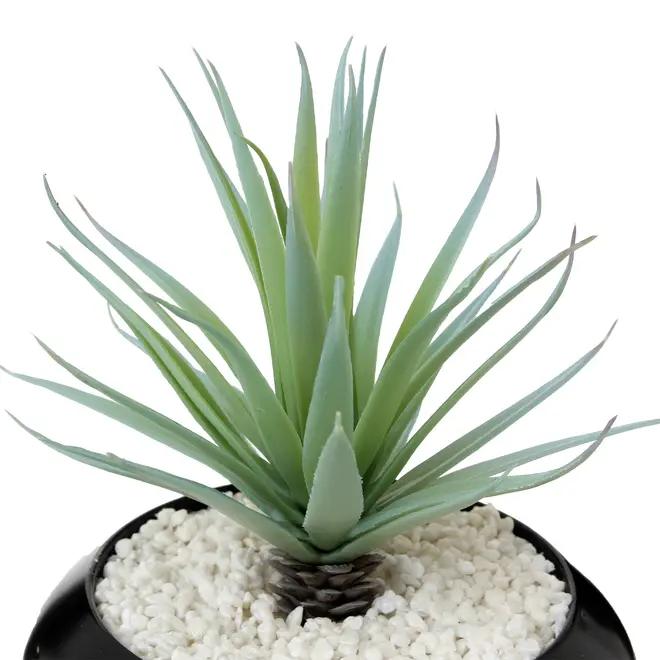 ARRANJO ALOE VERA - PRETO/VERDE - Foto 3