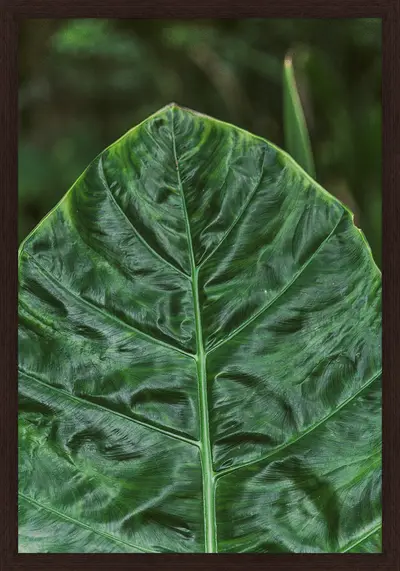 QUADRO INTRÍNSECO IV 35 CM X 50 CM