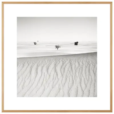 QUADRO SIGNS OF LIFE IV 60 CM X 60 CM