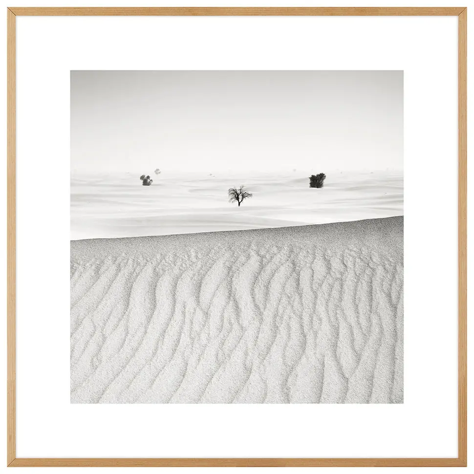 QUADRO SIGNS OF LIFE IV 60 CM X 60 CM - CINZA/NOZES - Foto 1