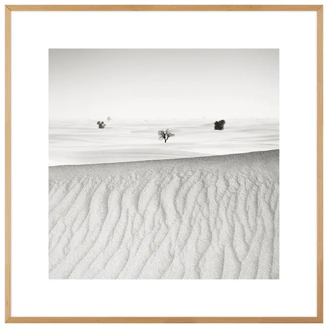 QUADRO SIGNS OF LIFE IV 60 CM X 60 CM - CINZA/NOZES - Foto 1