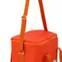 BOLSA TÉRMICA VIBRA VERÃO - LARANJA/AÇAY - Foto 17