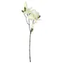 FLOR CHARMING MAGNÓLIA - BRANCO/VERDE - Foto 1
