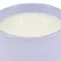 VELA POTE 6 CM FESTA DAS LUZES - MOUSSE DE JABUTICABA/ZIMBRO - Foto 3