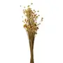 BOUQUET ESPETA NARIZ - FIBRA CLARA - Foto 1