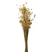 BOUQUET ESPETA NARIZ - FIBRA CLARA - Foto 1