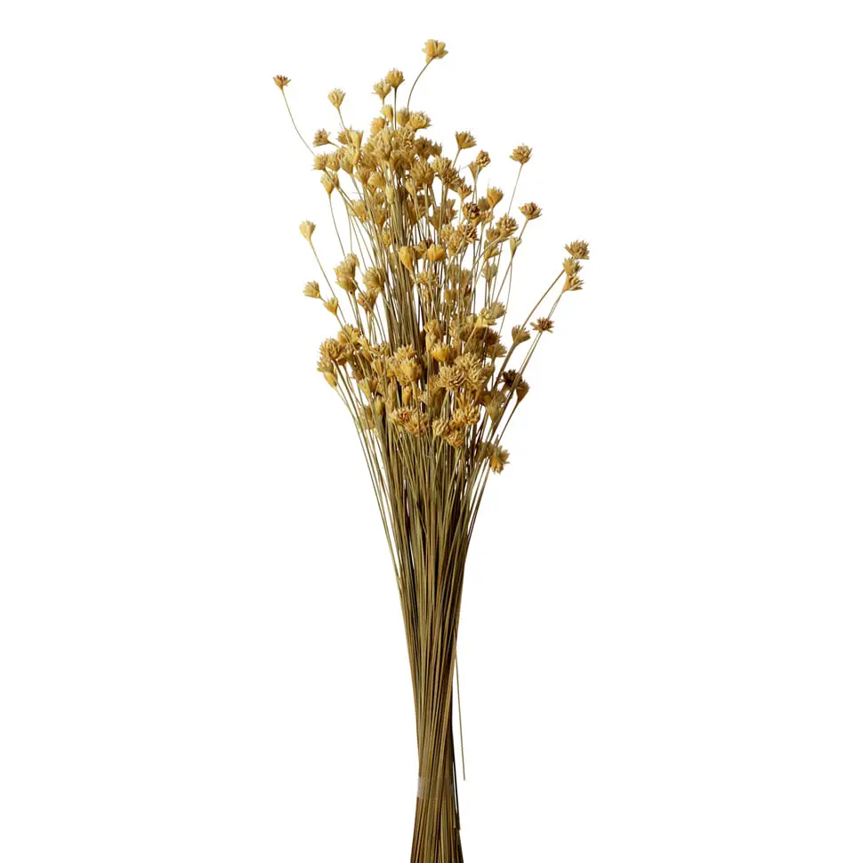 BOUQUET ESPETA NARIZ - FIBRA CLARA - Foto 1