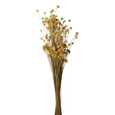 BOUQUET ESPETA NARIZ
