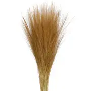 FOLHAGEM CAPIM SECO - FIBRA CASTANHA - Foto 6