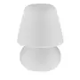 LUMINÁRIA DE MESA PLASLIGHT - BRANCO - Foto 1