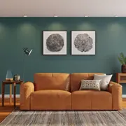 328403-5fda65a29836fa005d8e2c0c.jpg