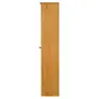 SAPATEIRA/ARMÁRIO PISO/PAREDE 1 PORTA TIMBER - AMÊNDOA - Foto 4