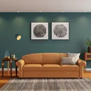 335840-614e431cd5d48400018865e2.jpg