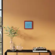 339751-625efac60c1d880001a9e6bd.jpg