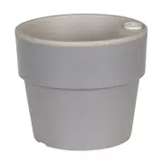 344801-6238ba70fd1d7500014e18c0.jpg