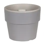 344801-6238ba73fd1d7500014e18c4.jpg