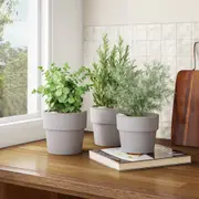 344801-6272c35db459e000010e8eb8.jpg