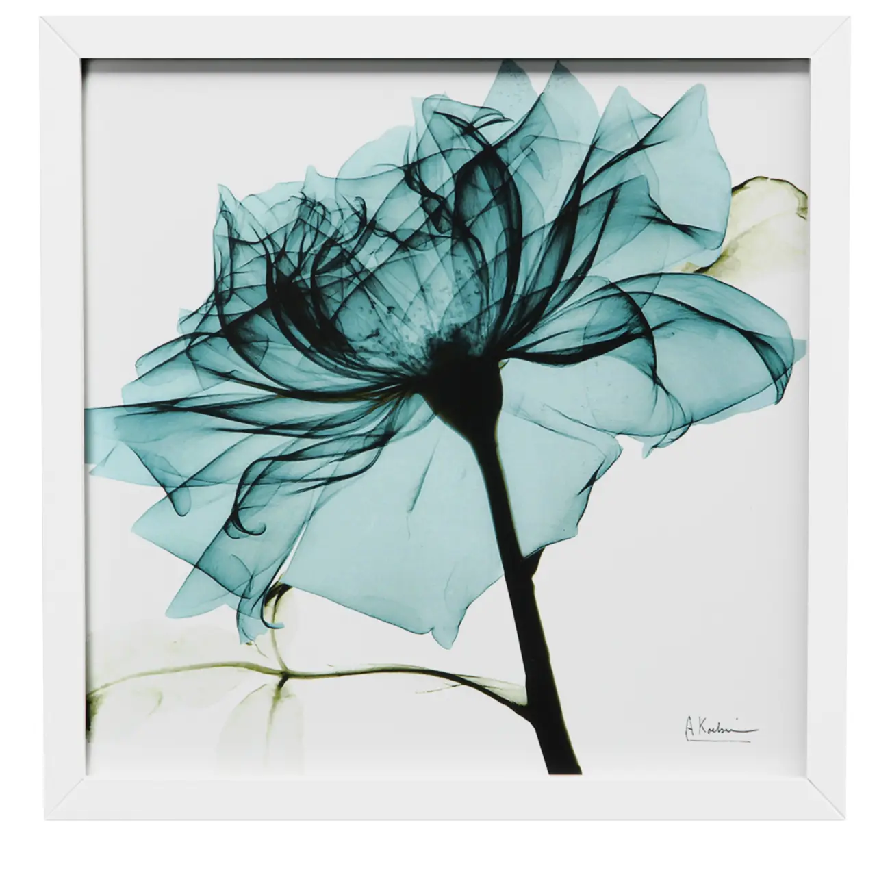 QUADRO 30 CM X 30 CM FLORES RAIO-X I - BRANCO/TURMALINA - Foto 1