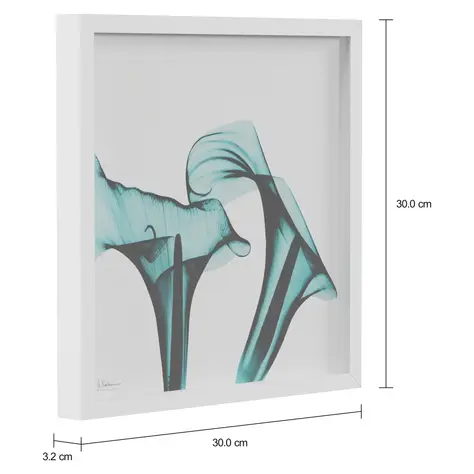 Imagem com medidas do produto QUADRO 30 CM X 30 CM FLORES RAIO-X II