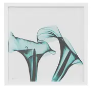 QUADRO 30 CM X 30 CM FLORES RAIO-X II - BRANCO/TURMALINA - Foto 1