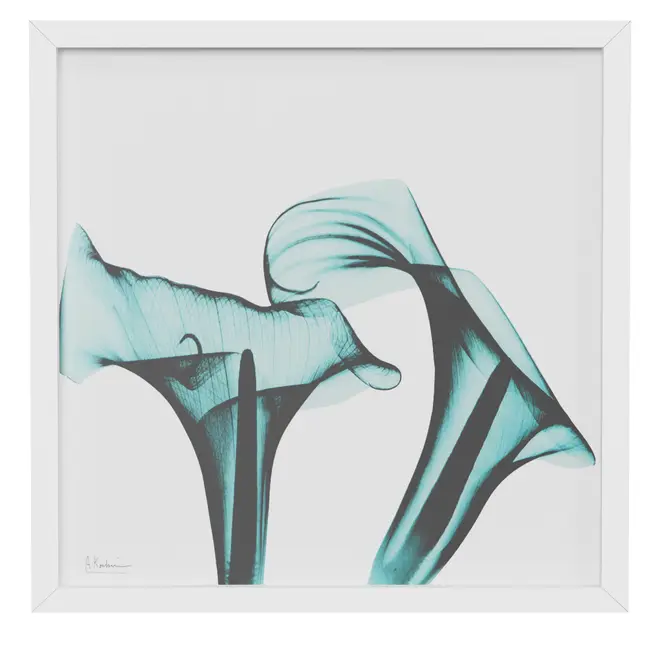 QUADRO 30 CM X 30 CM FLORES RAIO-X II - BRANCO/TURMALINA - Foto 1