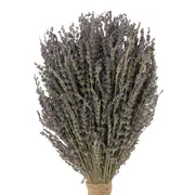 BOUQUET LAVANDA - LAVANDA/MULTICOR - Foto 4