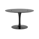 BASE DE MESA CENTRAL OVAL FV 1,98 M TULIPE