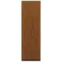 GUARDA-ROUPA 2 PORTAS 5 PRATELEIRAS 45 MAXIMUS - FREIJÓ - Foto 1