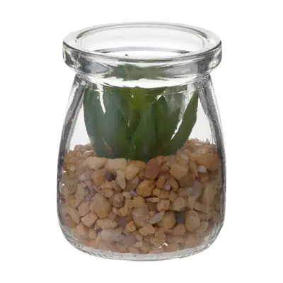 SUCULENTA SEDUM MINI ARRANJO ARID