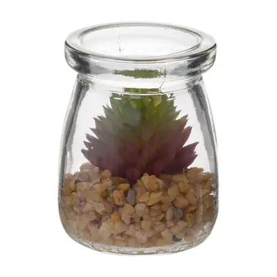 SUCULENTA AURORA MINI ARRANJO ARID