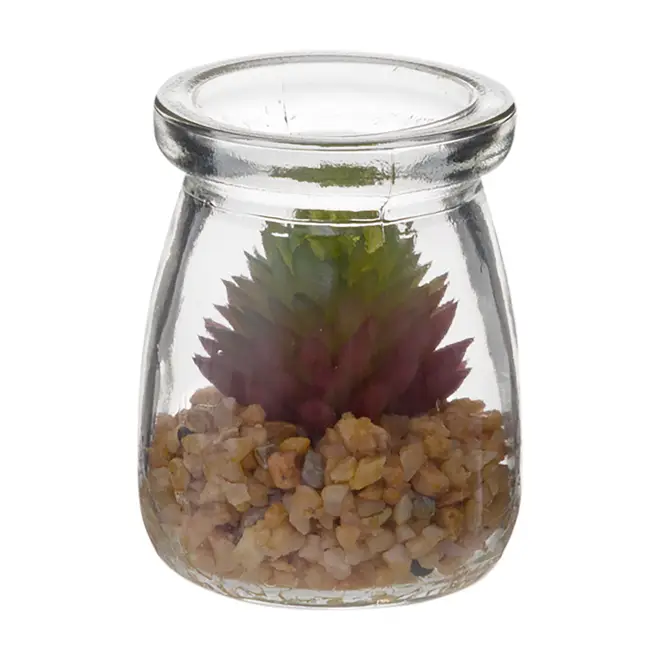 SUCULENTA AURORA MINI ARRANJO ARID - INCOLOR/VERDE - Foto 1