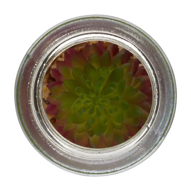 SUCULENTA AURORA MINI ARRANJO ARID - INCOLOR/VERDE - Foto 2
