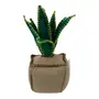 PESO PARA PORTA 21 CM X 9 CM SANTABÁ - VERDE/CAMELO - Foto 1