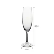 TAÇA CHAMPANHE 220 ML CRISTALIUM TITAN - INCOLOR - Foto 5