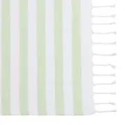 PANO DE PRATO 70 CM X 40 CM SCARLAT - SÁLVIA/BRANCO - Foto 2