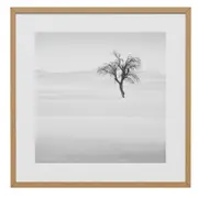 QUADRO 42 CM X 42 CM SIGNS OF LIFE III - CINZA/NOZES - Foto 1