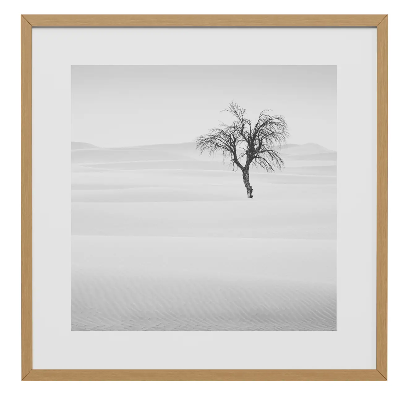QUADRO 42 CM X 42 CM SIGNS OF LIFE III - CINZA/NOZES - Foto 1