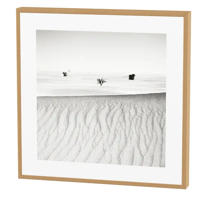 QUADRO 42 CM X 42 CM SIGNS OF LIFE IV - CINZA/NOZES - Foto 1
