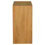 ARMÁRIO DE COZINHA AÉREO 60 CM 1 PORTA BASCULANTE TOAST - OAK TAMMI/KONKRET - Foto 4