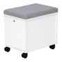LOCKER COM RODÍZIOS E 1 PORTA BASCULANTE ALETA - BRANCO/CINZA CLARO - Foto 2