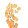 FLOR LANTERNS FLOWERS - BEGE - Foto 2
