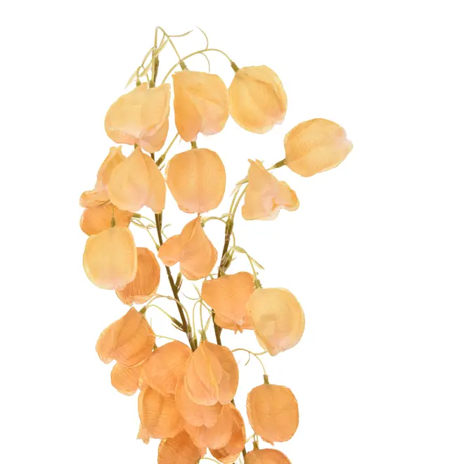 FLOR LANTERNS FLOWERS - BEGE - Foto 2