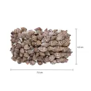 ARGOLA PARA GUARDANAPO CONJUNTO COM 4 PEÇAS CONCHAS - NATURAL - Foto 3