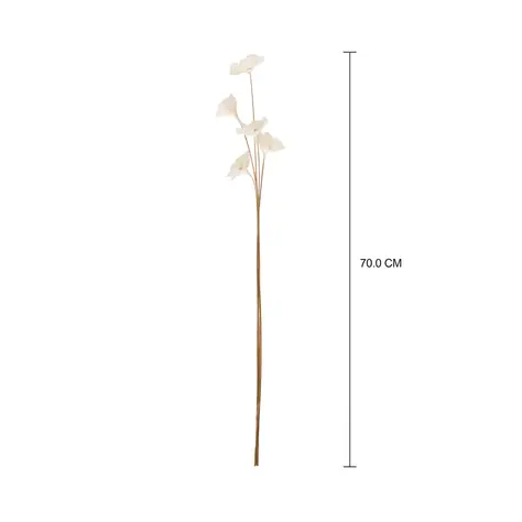 Imagem com medidas do produto FLOR DO CAMPO COM 5 ESCAMA DE PEIXE
