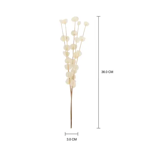 Imagem com medidas do produto FLOR MOEDA COM 5 ESCAMA DE PEIXE