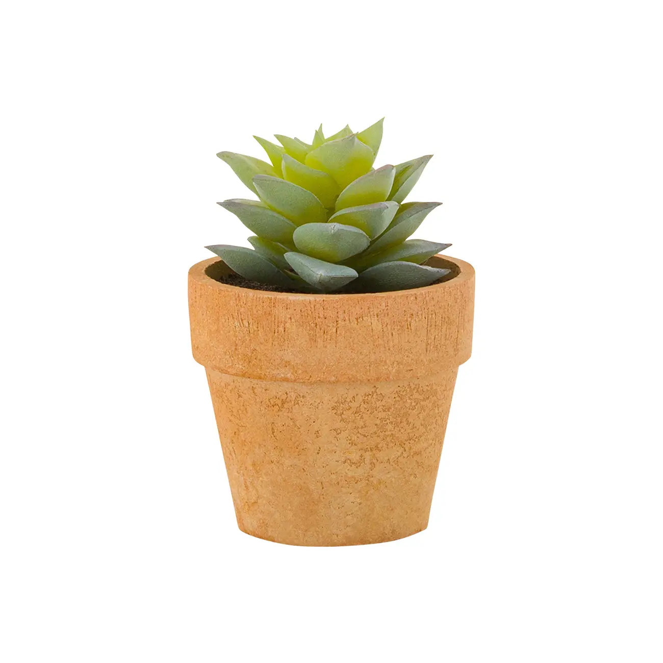 SUCULENTA SEDUM MINIARRANJO DA TERRA - VERDE/TERRACOTA - Foto 1