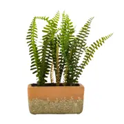 ARRANJO SAMAMBAIA KÉRAMOS - VERDE/TERRACOTA - Foto 1