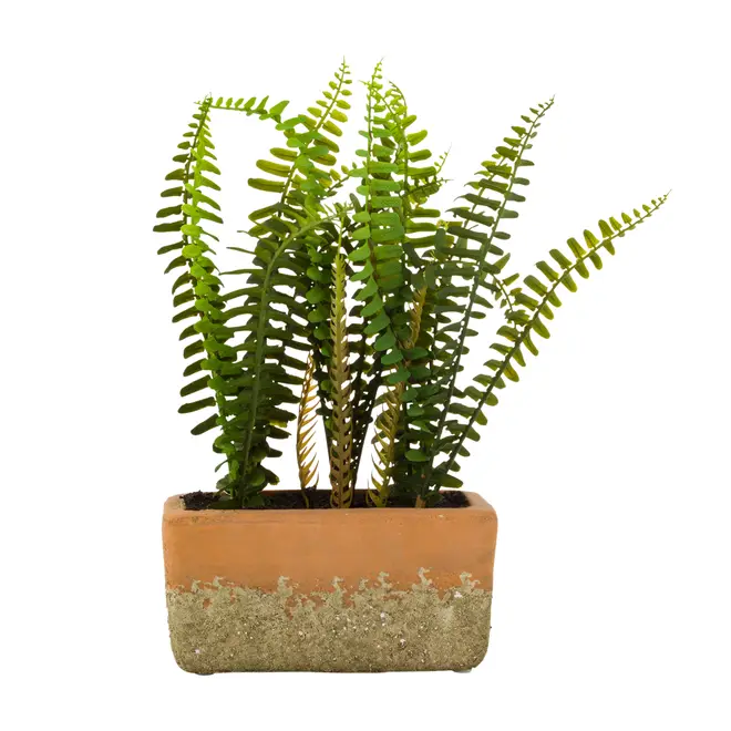 ARRANJO SAMAMBAIA KÉRAMOS - VERDE/TERRACOTA - Foto 1